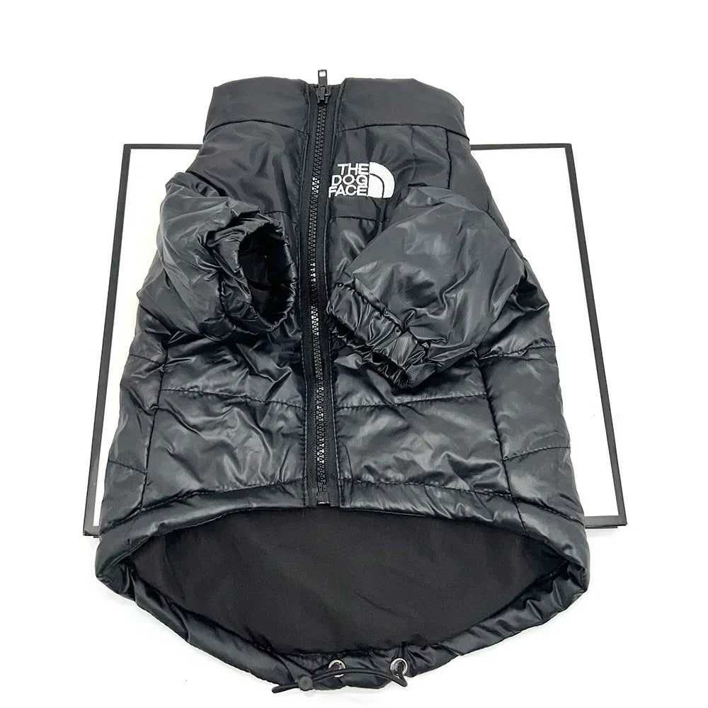 Insulated dog gear: waterproof and windproof winter pet coat in blue, modeled by a beagle.