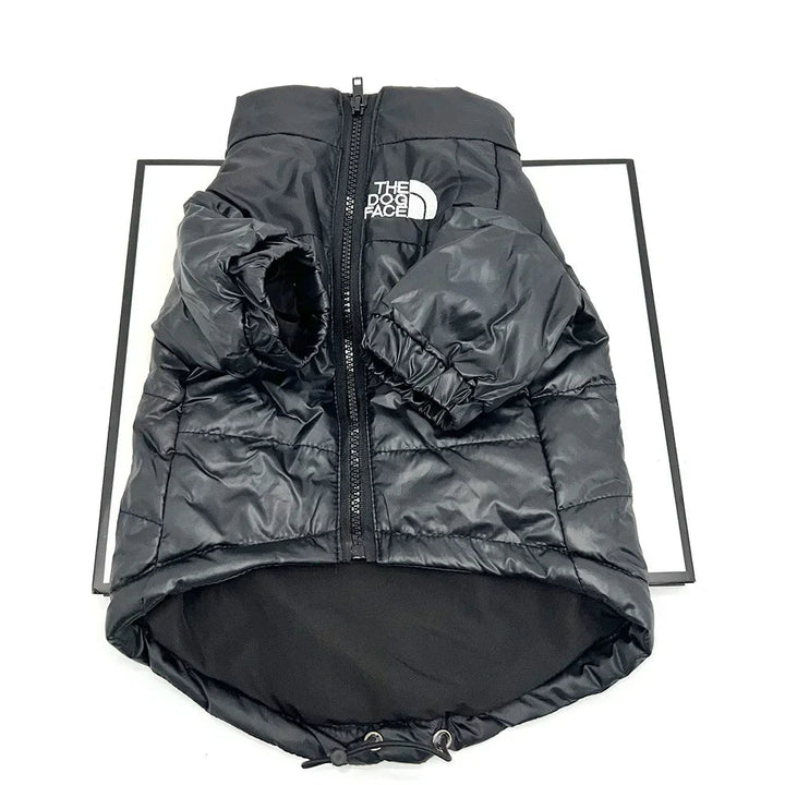 Insulated dog gear: waterproof and windproof winter pet coat in blue, modeled by a beagle.