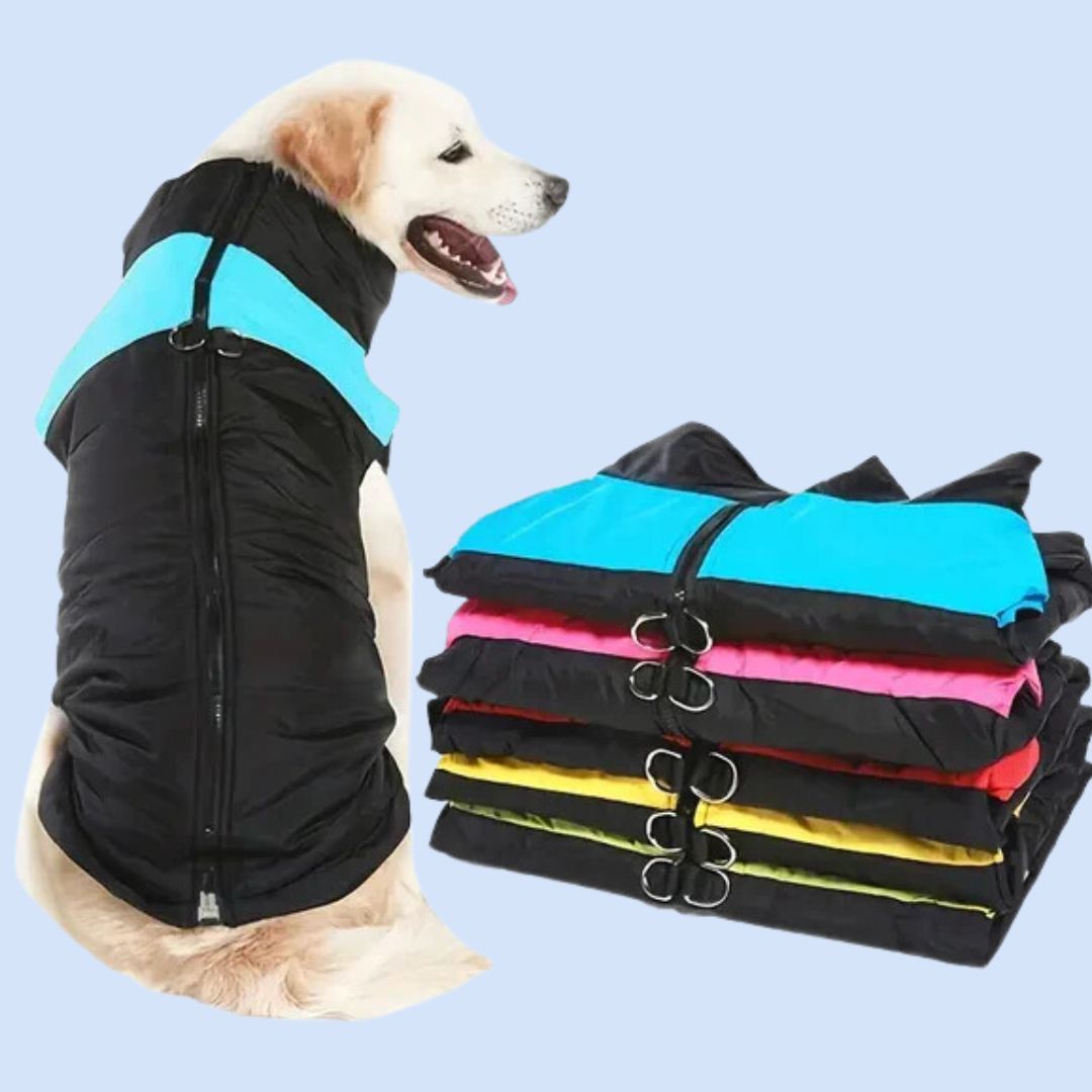 Red waterproof winter dog vest with adjustable straps for cold weather