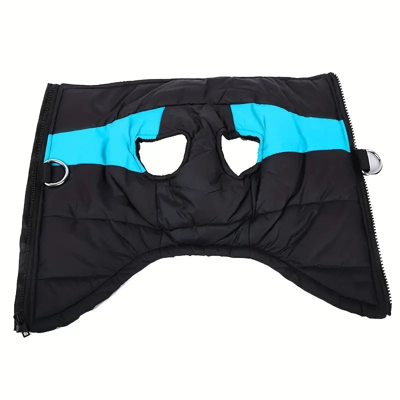 Insulated dog vest in blue, perfect for outdoor winter adventures, adjustable fit