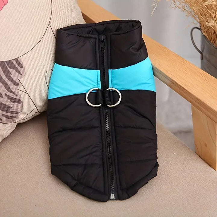 Close-up of a black waterproof dog jacket showing adjustable buckles and warm lining