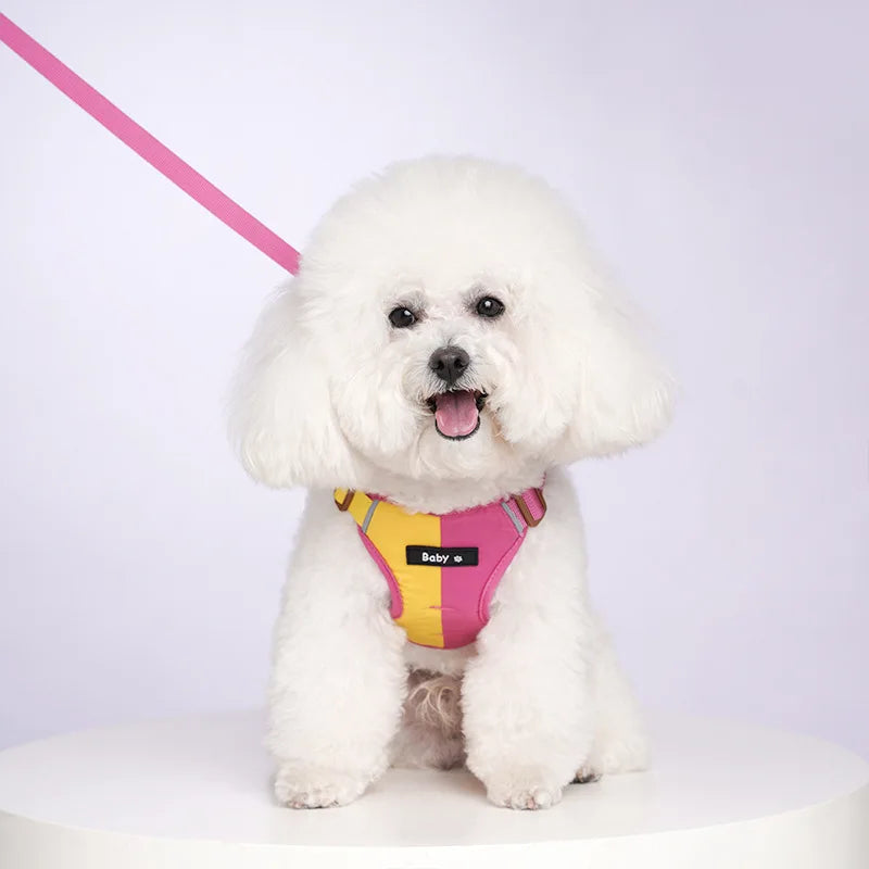 Reflective adjustable dog harness and leash set for small dogs, purple breathable mesh with secure buckles.