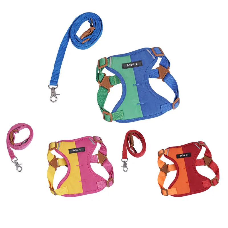 Small dog wearing a colorful reflective adjustable harness and leash set, ideal for night walks.