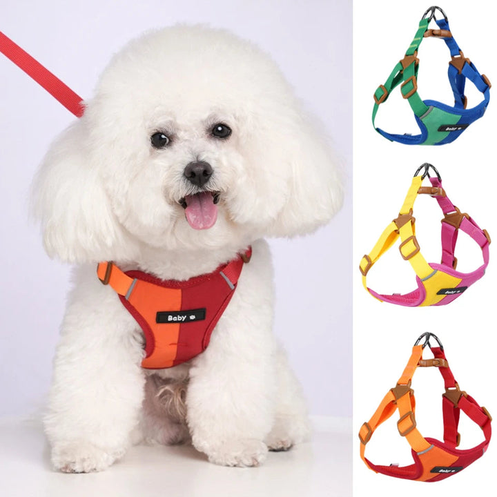 Close-up of a reflective adjustable dog harness showing breathable mesh and strong D-ring for leash.