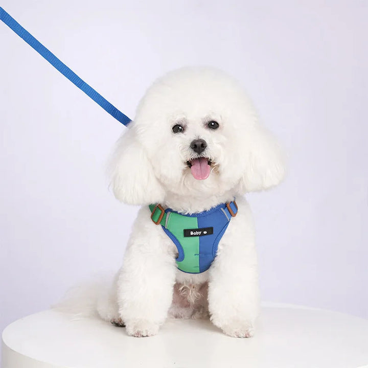 A vibrant red reflective adjustable dog harness and leash set, enhancing pet visibility and comfort.