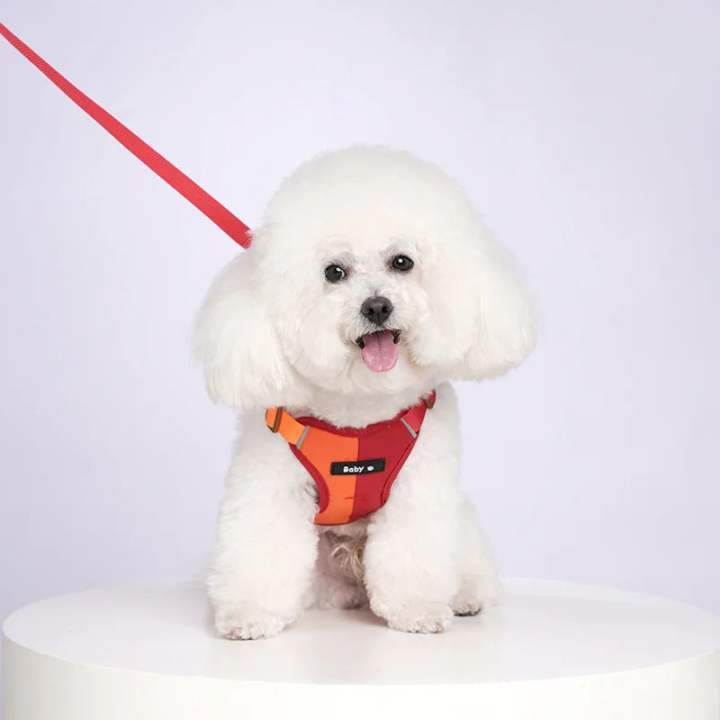 Adjustable dog harness and leash in blue, featuring reflective strips and breathable fabric for pet safety.