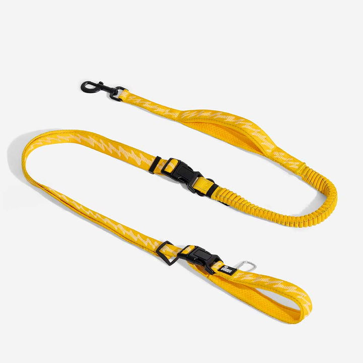 Reflective adjustable elastic dog leash for nighttime safety, durable nylon, outdoor pet accessory.