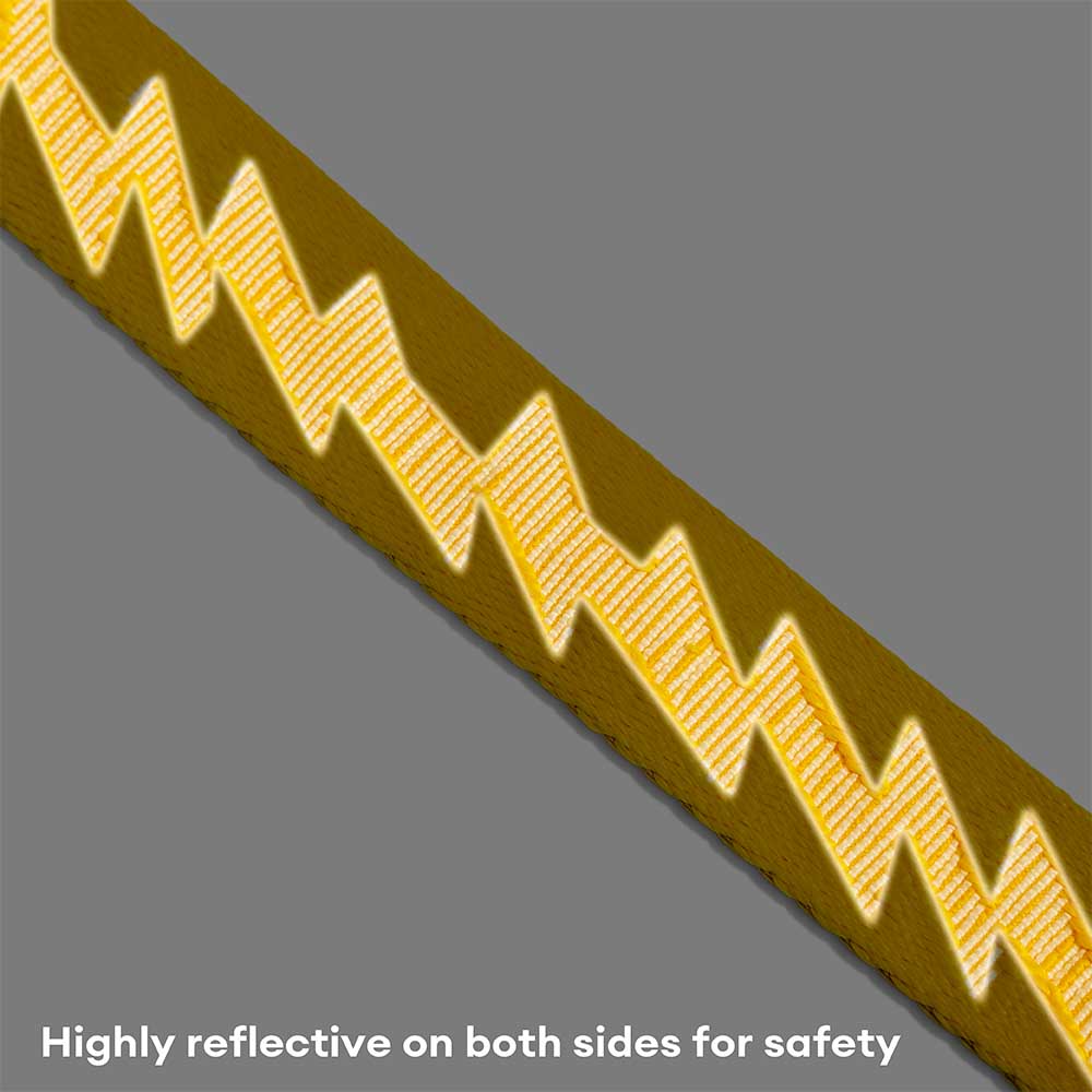 Elastic dog leash in a dark setting, highlighting its reflective properties for enhanced visibility.