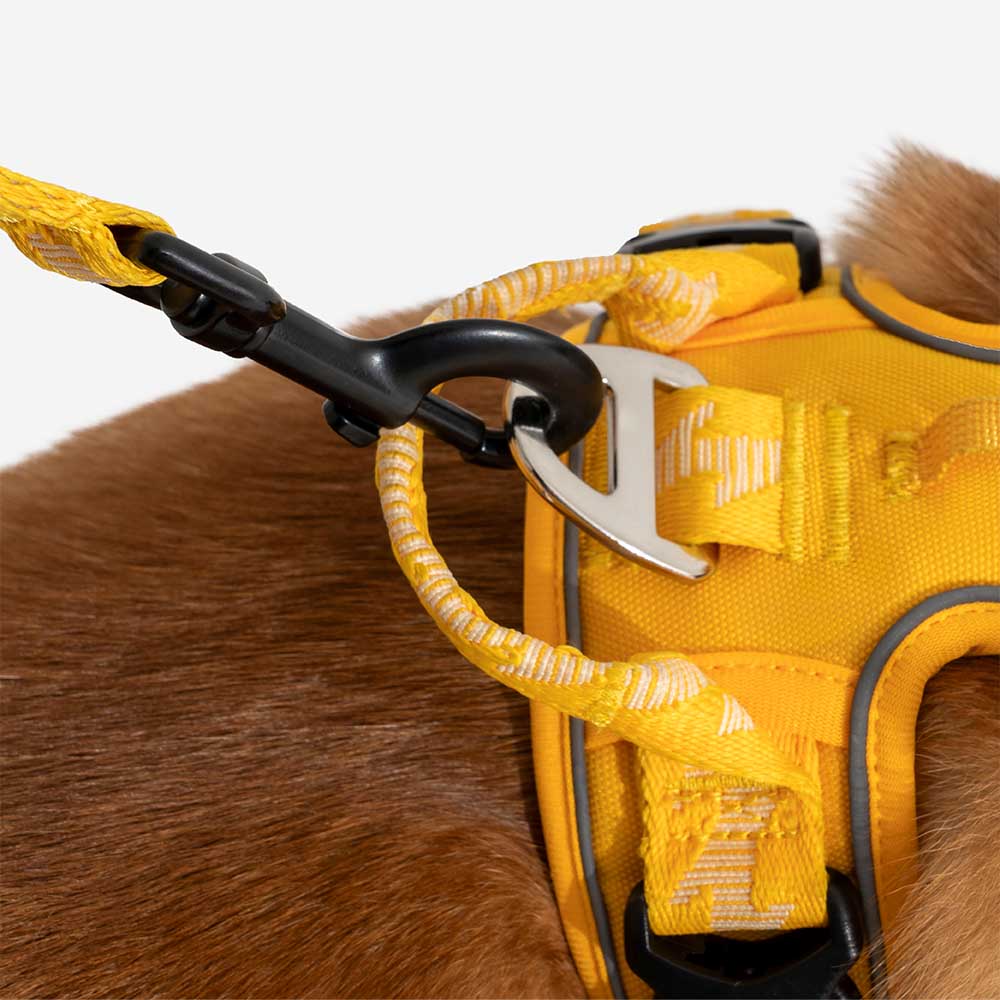 Adjustable nylon dog leash for medium to large dogs, featuring reflective safety elements and elasticity.
