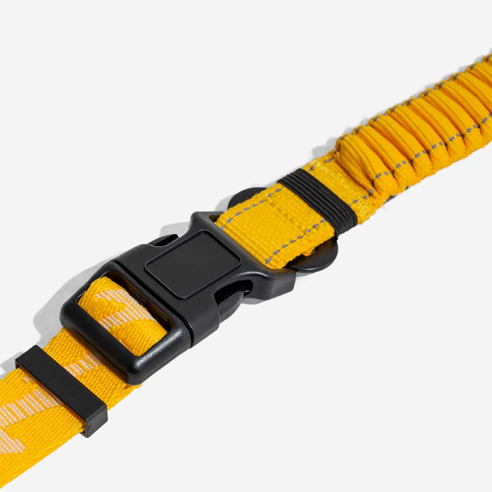 Reflective dog leash with robust metal clasps, ensuring secure attachment to any dog collar or harness.