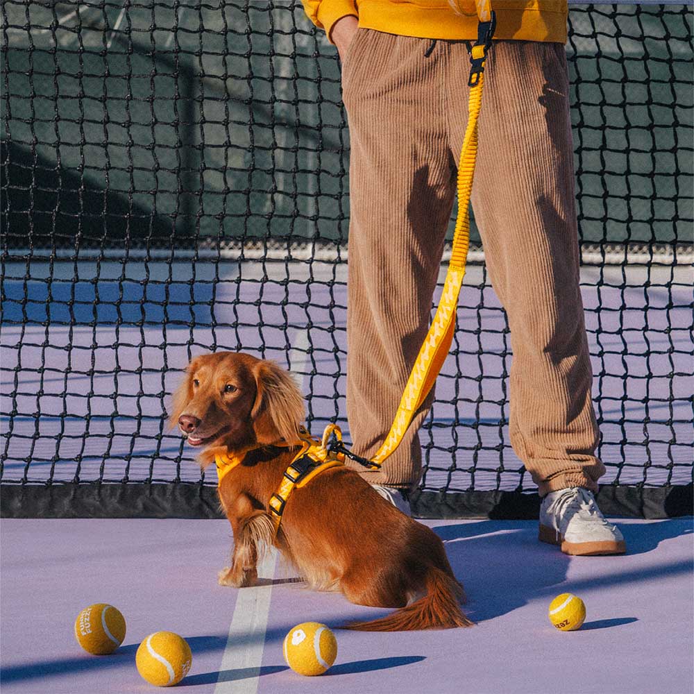 Unisex reflective dog leash in a park setting, emphasizing its suitability for outdoor activities.