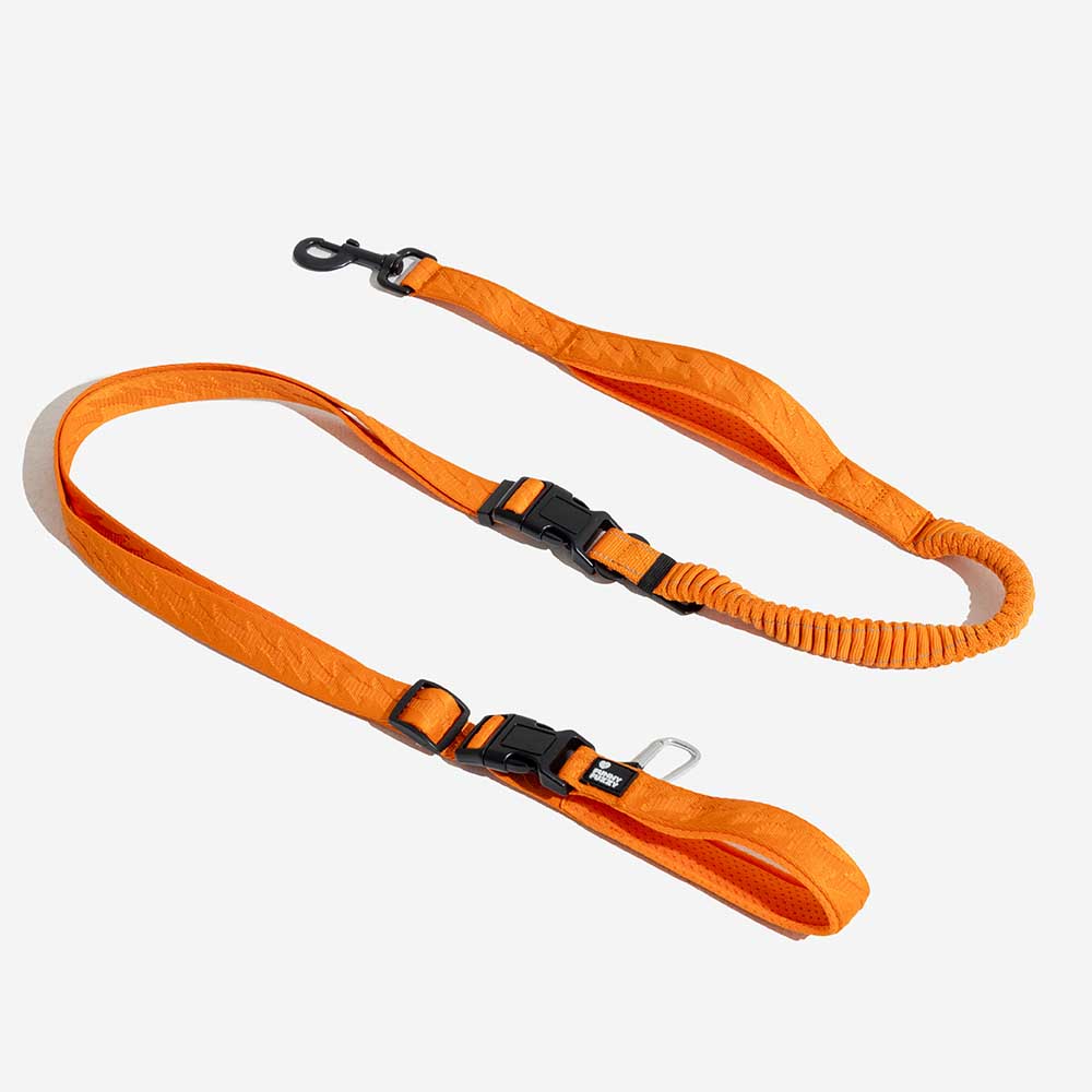 Elastic shock-absorbing dog leash, reflective, crafted from high-quality nylon for long-lasting use.