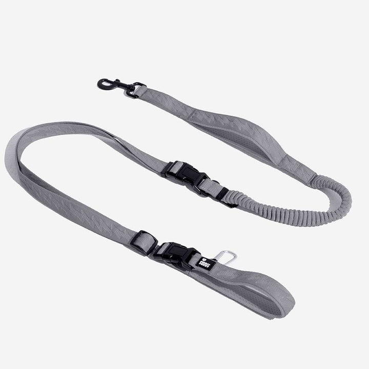 Reflective adjustable elastic dog leash with a padded handle, comfort for long dog walks and runs.