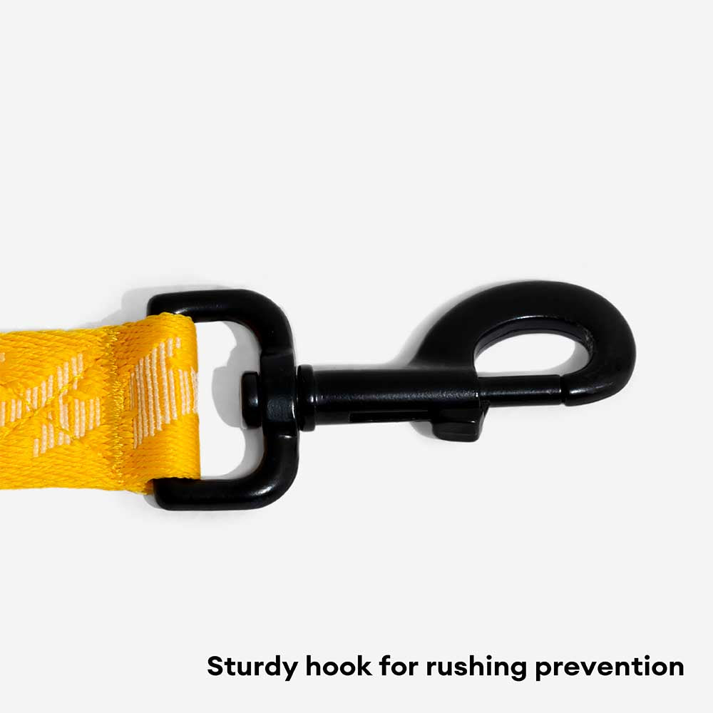 Dog wearing a reflective adjustable elastic leash, demonstrating freedom of movement and safety.