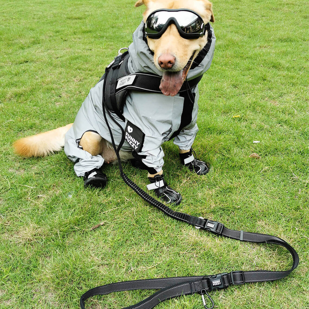 Water droplets beading on a reflective waterproof dog raincoat, highlighting its efficacy.