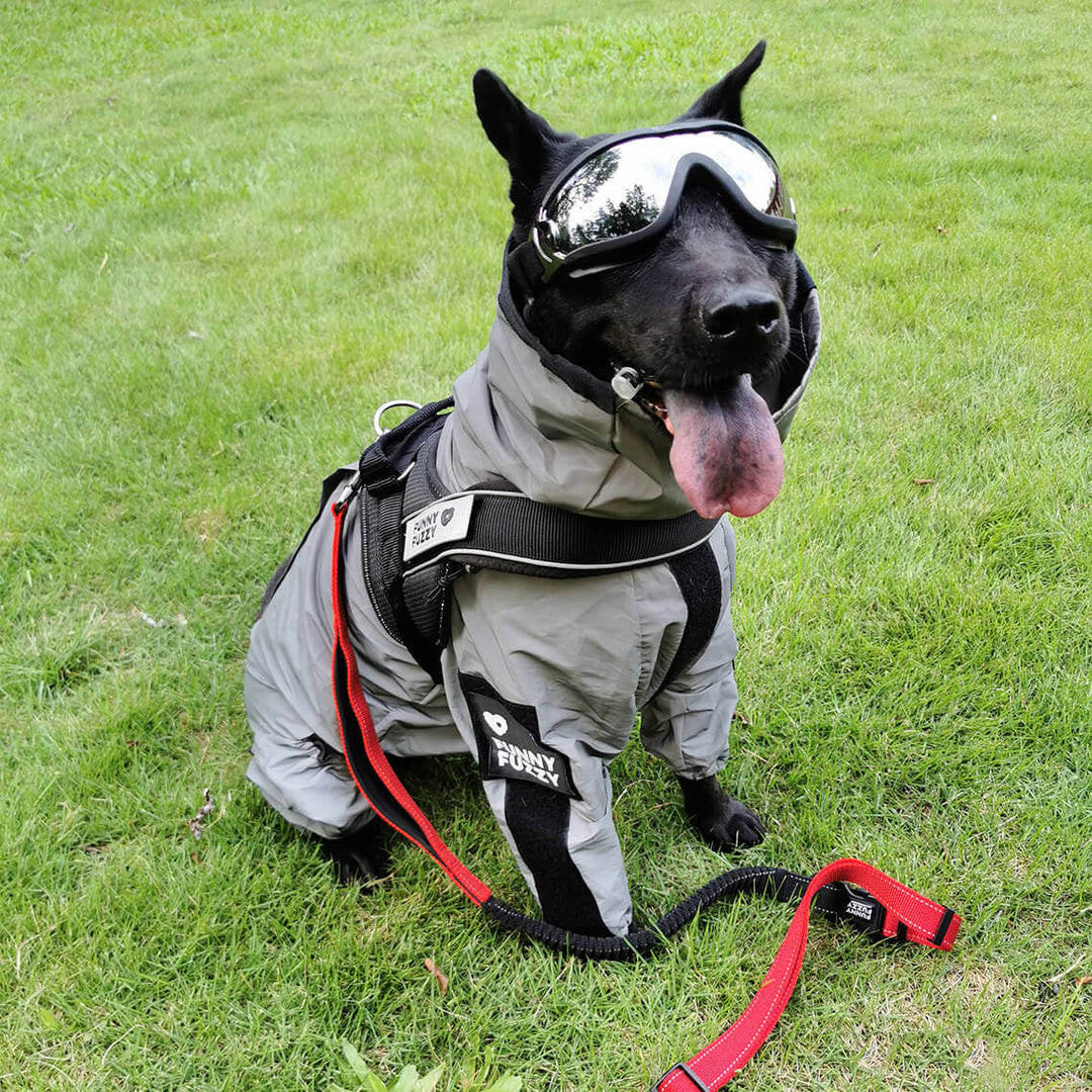 Adjustable windproof dog raincoat in bright yellow, a must-have for safe outdoor dog gear.