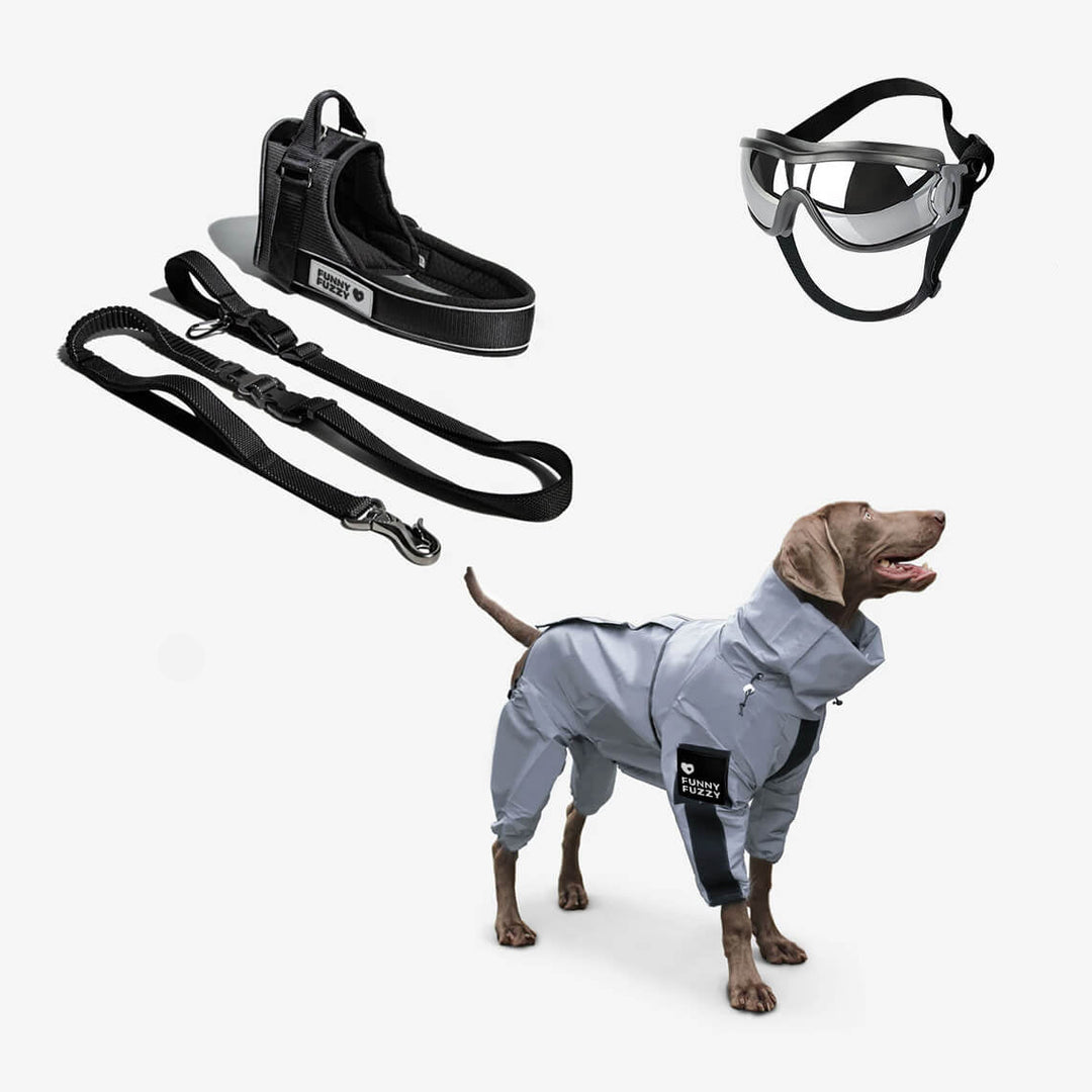 Side view of a dog wearing a reflective all-weather raincoat, ready for any adventure.