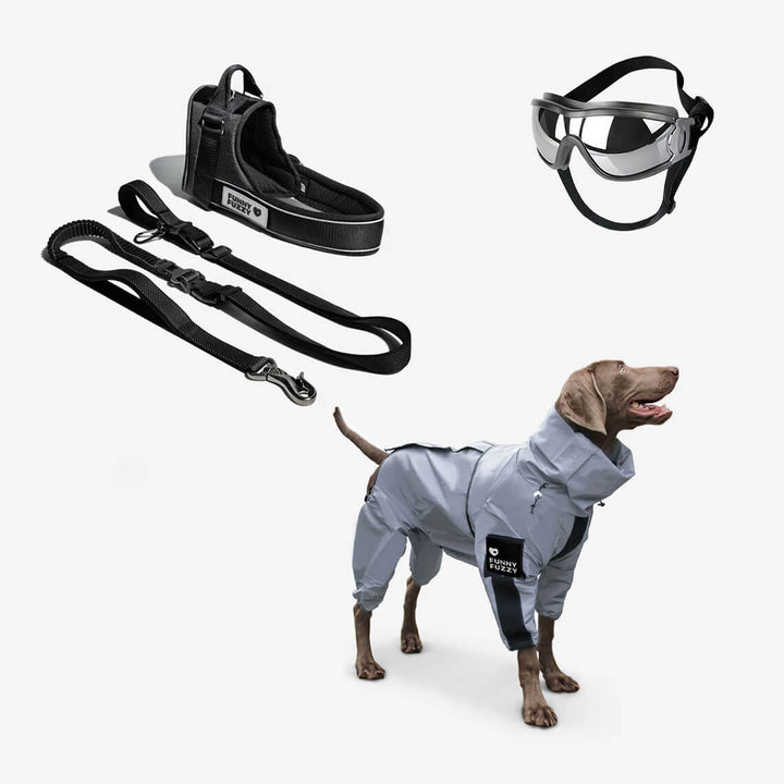 Side view of a dog wearing a reflective all-weather raincoat, ready for any adventure.