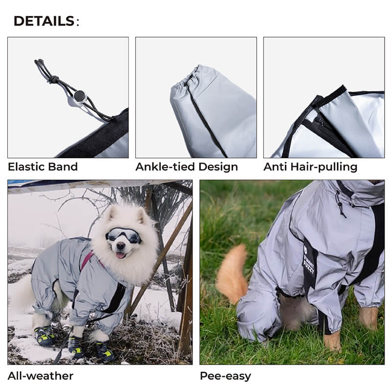 Close-up of waterproof fabric on a dog raincoat, showing reflective detailing for visibility.
