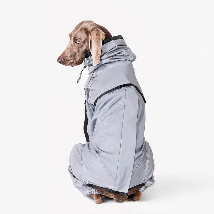 Model dog standing in a field wearing a reflective, windproof, and waterproof rain jacket.