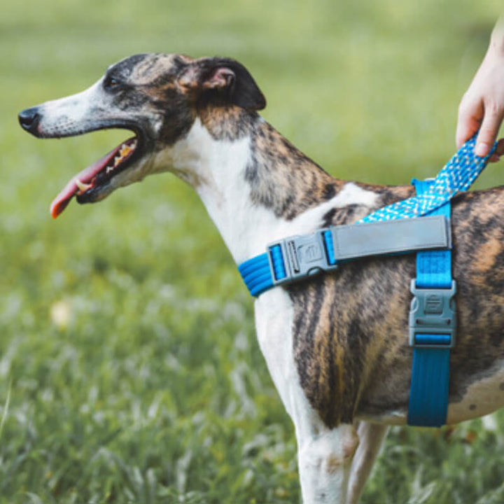 Reflective anti-pull dog harness for large dogs, black, side view, showing buckles and D-ring for leash