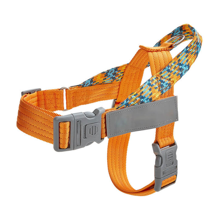 Dog owner holding the reflective anti-pull dog leash, demonstrating proper handling for large dogs