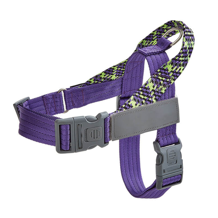 Back view of the adjustable reflective anti-pull dog harness, with secure leash attachment point for outdoor adventures