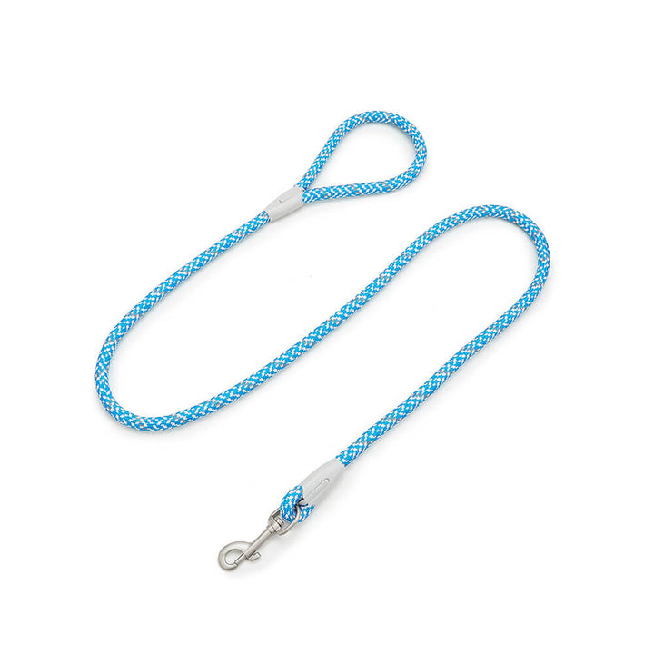 Set of anti-pull reflective dog harness and matching leash displayed neatly on flat surface for pet accessories