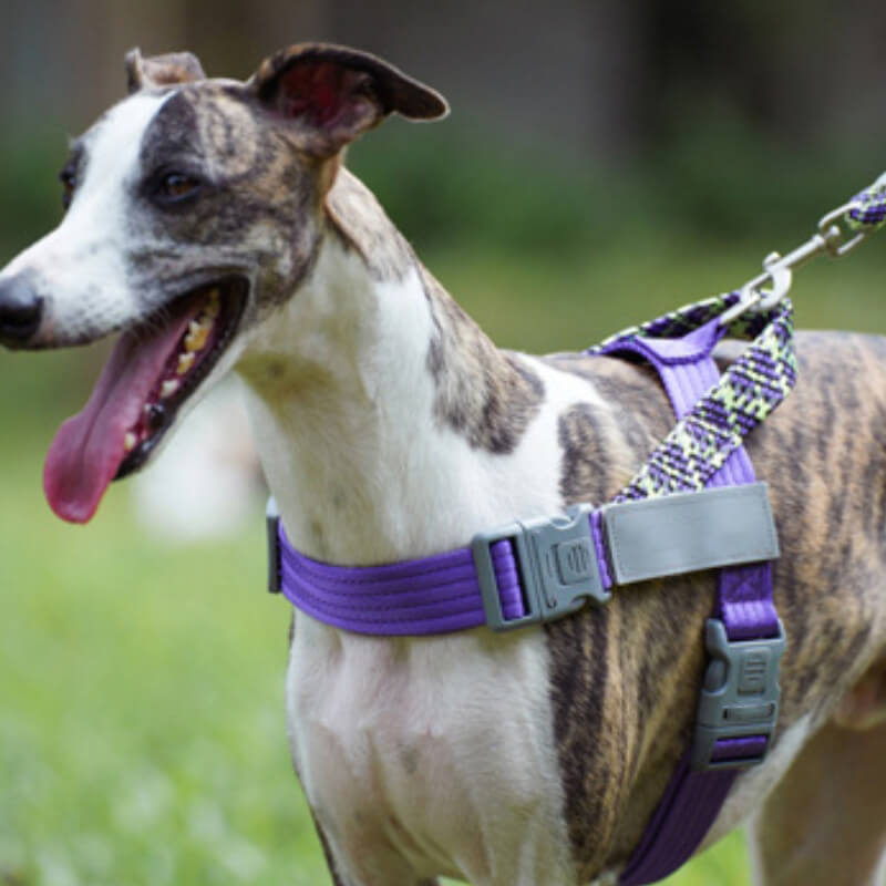 Unisex anti-pull dog harness and leash set, black, top-down view, highlighting reflective stripes