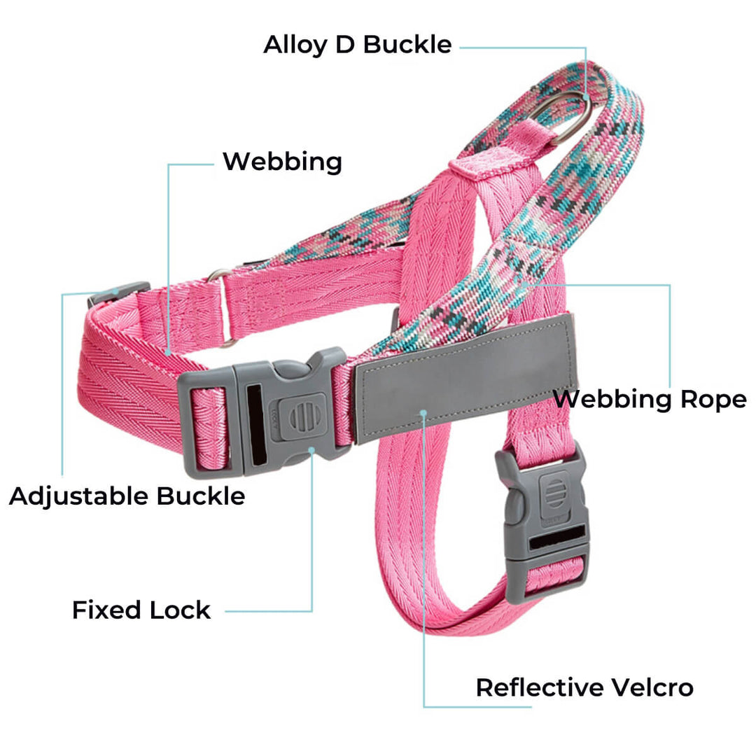 Dog wearing black reflective anti-pull harness, walking outdoors on a sunny day, with leash attached