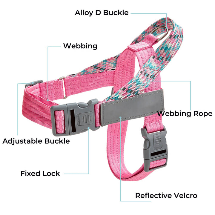 Dog wearing black reflective anti-pull harness, walking outdoors on a sunny day, with leash attached