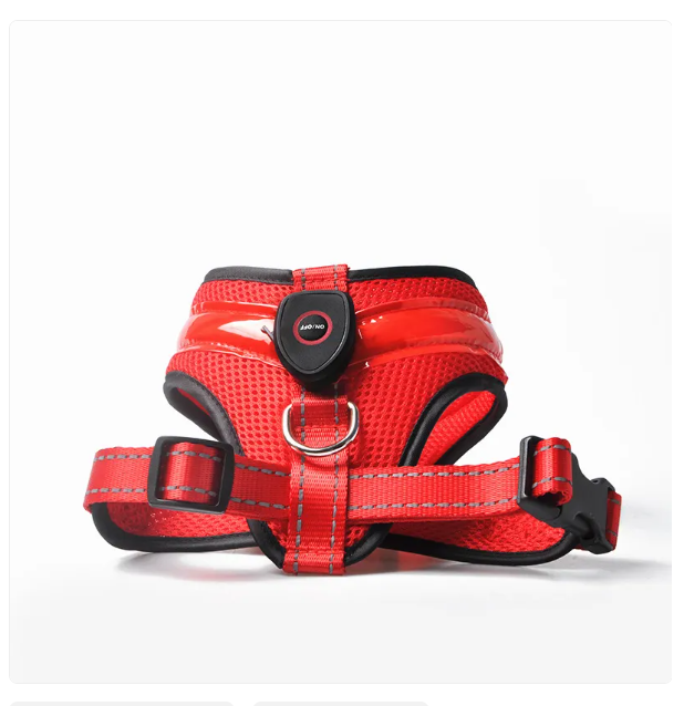 Breathable mesh dog harness with reflective accents, ideal walking gear for pet safety and visibility.