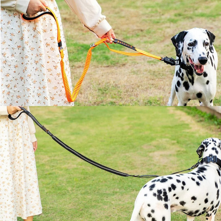 Durable elastic dog leash with reflective stitching, ideal for active pet training and safety.