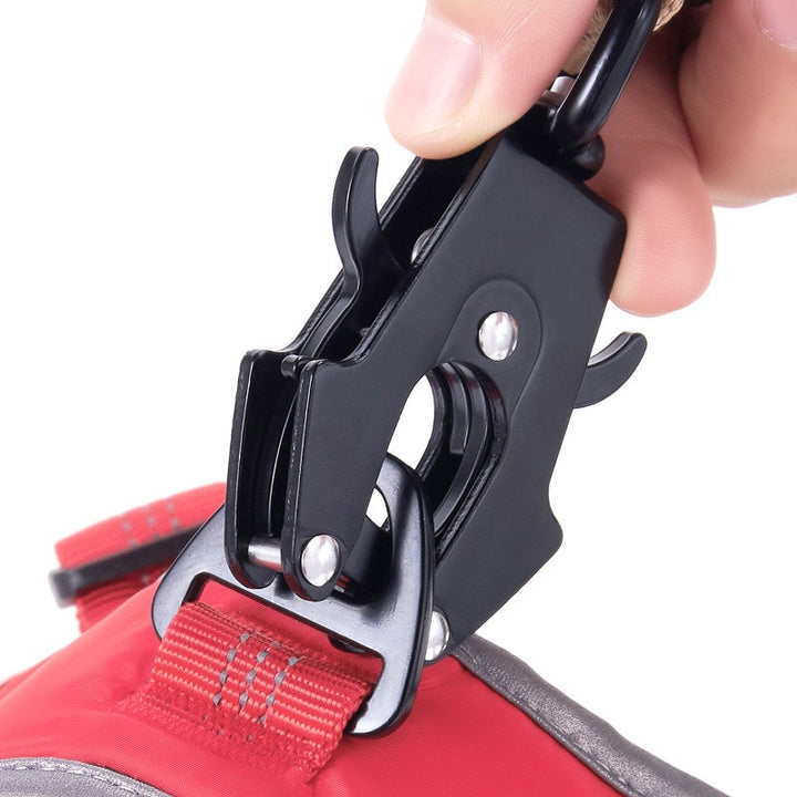 Close-up of a shock-absorbing bungee dog leash with reflective elements for night walks.