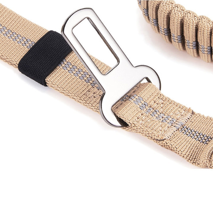 Active pet dog leash: durable black nylon bungee with reflective strips for enhanced visibility.