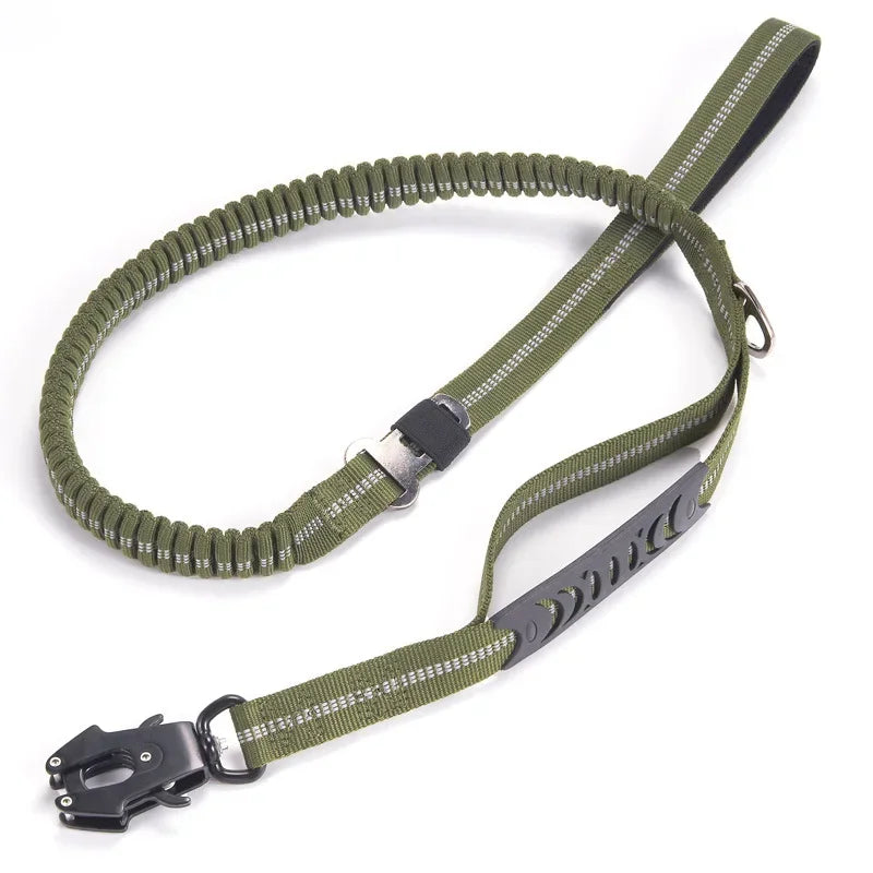 Shock-absorbing nylon bungee dog leash with reflective accents, great for active pet training.