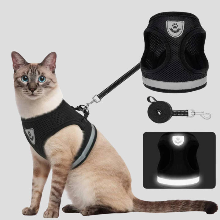 Reflective cat harness and leash set, adjustable for safety during outdoor walks.