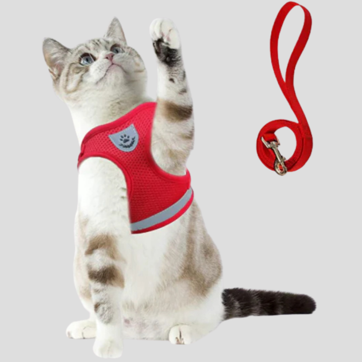 Unisex reflective cat harness with breathable mesh for comfortable pet walks.