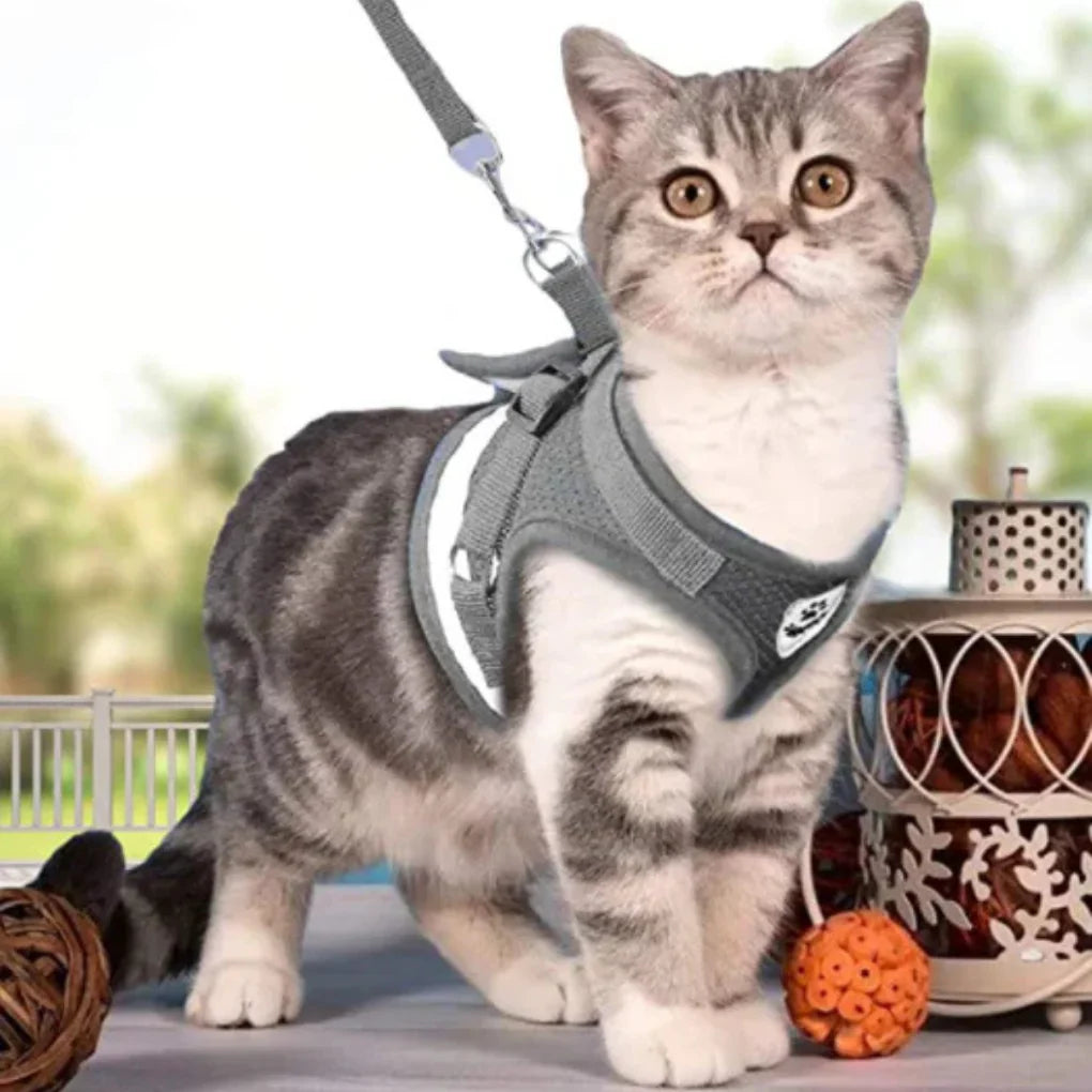 Breathable mesh cat harness with reflective strips and matching pet leash.
