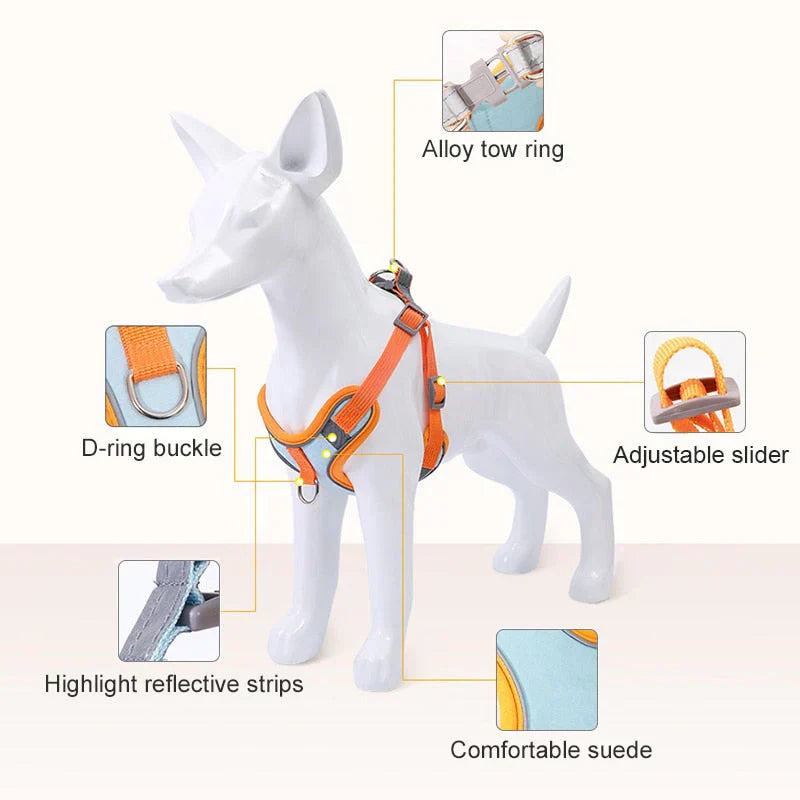 Back view of reflective comfort dog harness on a puppy, secure and comfortable design