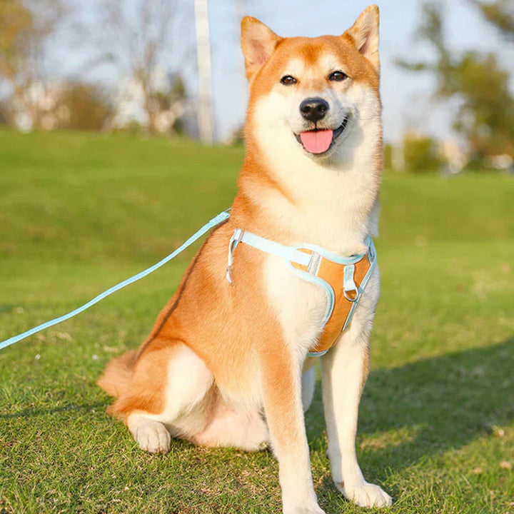Close-up of reflective comfort dog harness material for small dogs, grey safety stripes