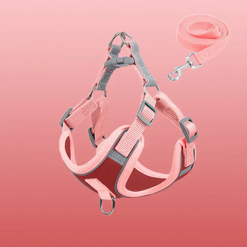 Adjustable reflective dog harness, perfect for growing puppies, ensures safety