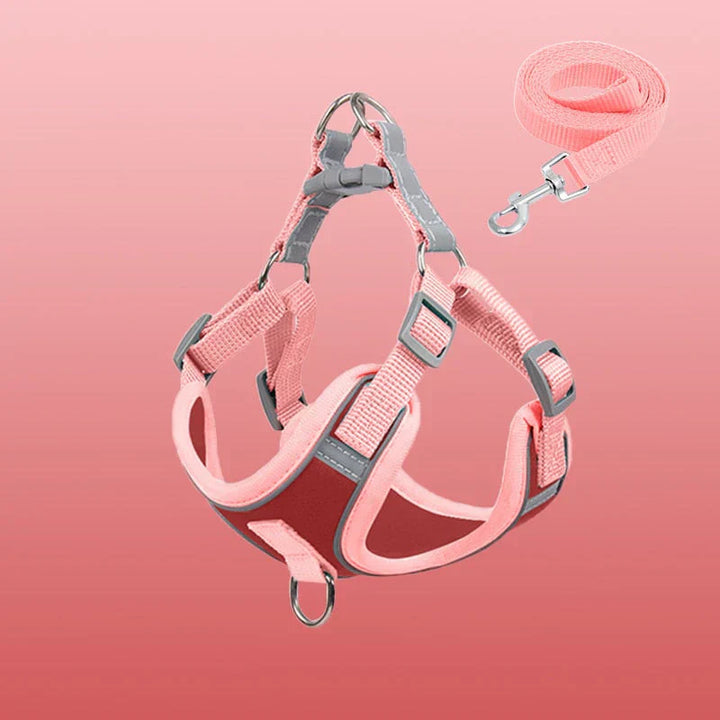 Adjustable reflective dog harness, perfect for growing puppies, ensures safety