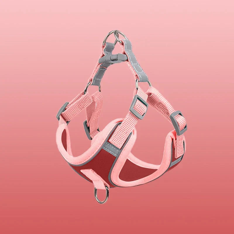 Detail of sturdy D-ring on reflective comfort dog harness, leash attachment point