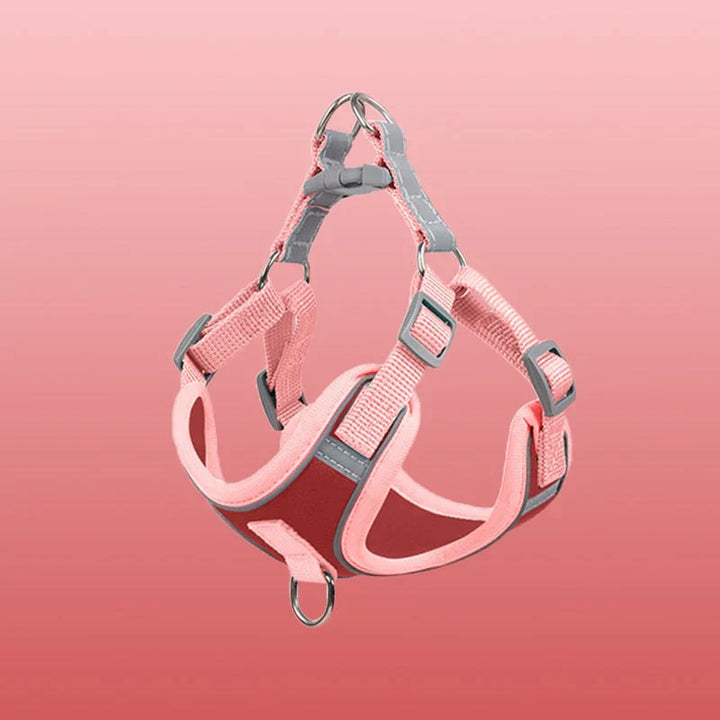 Detail of sturdy D-ring on reflective comfort dog harness, leash attachment point