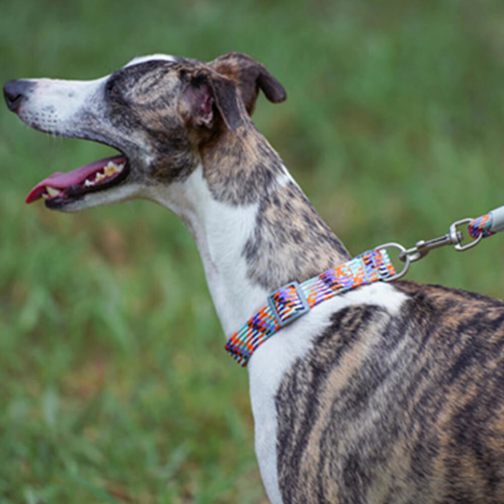 Reflective dog collar and leash set in red, enhancing pet safety during night walks