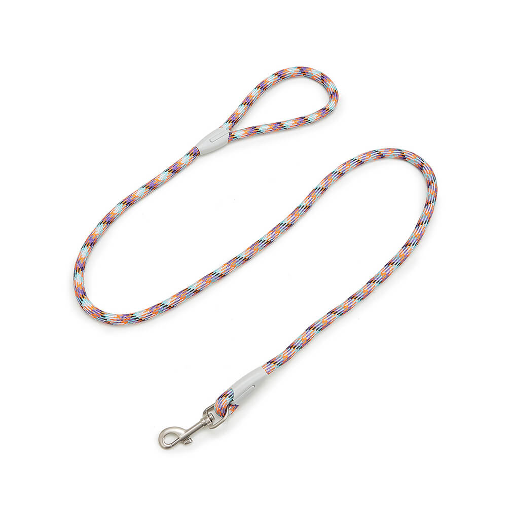 Complete pet outdoor gear: reflective dog collar and leash set for enhanced visibility
