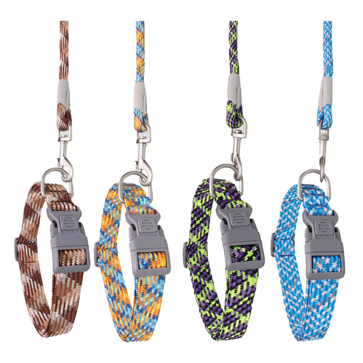 Close-up of durable reflective dog collar, showing the adjustable buckle and D-ring
