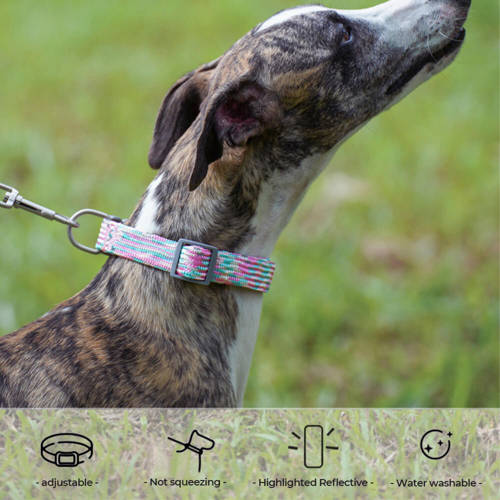Unisex pet accessory: reflective dog leash with comfortable handle, suitable for all dogs