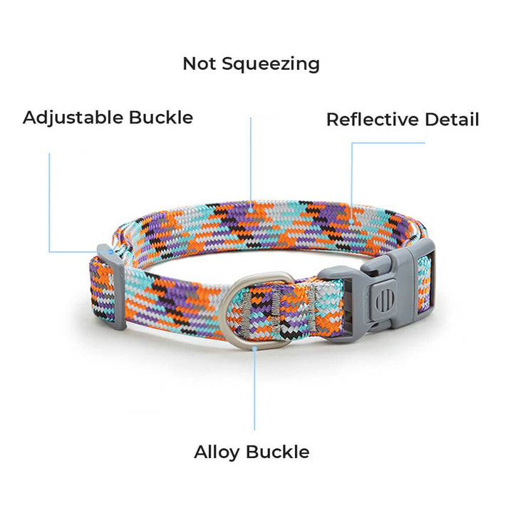 Photo of a dog wearing a reflective adjustable collar, ready for an evening stroll